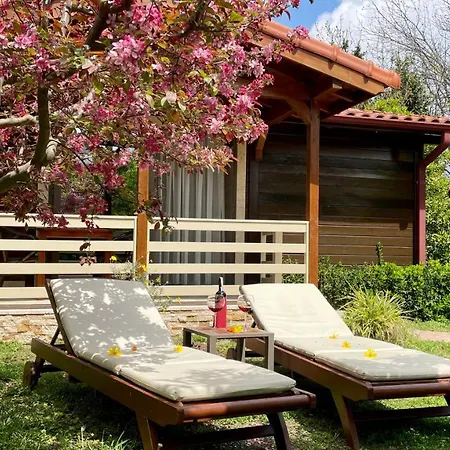 爱达酒店 2* Çıralı