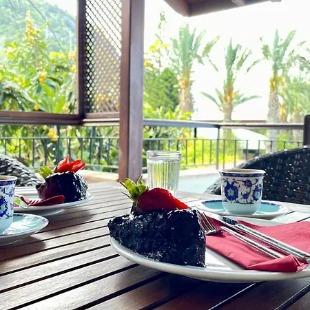 Aida Ξενοδοχείο 2*