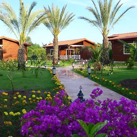 عايدة Çıralı
