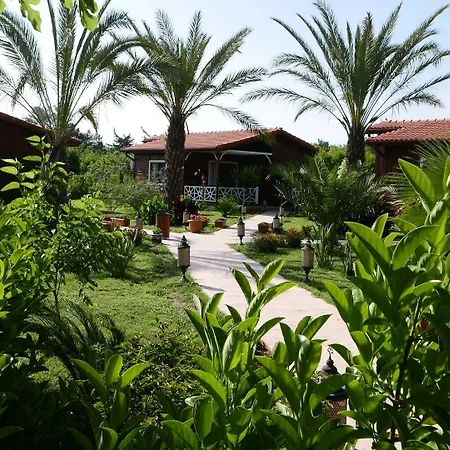 فندق عايدة 2*