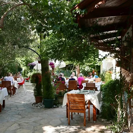 عايدة