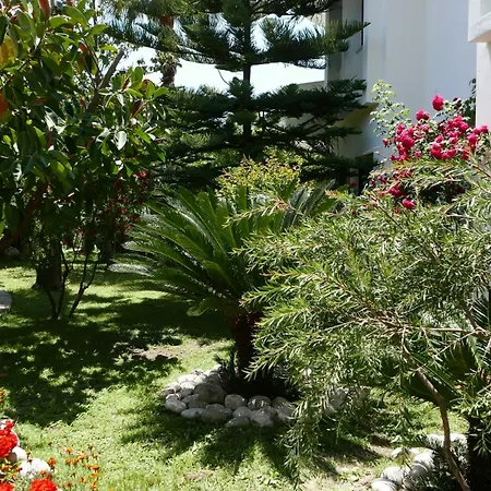 酒店 爱达酒店 2*