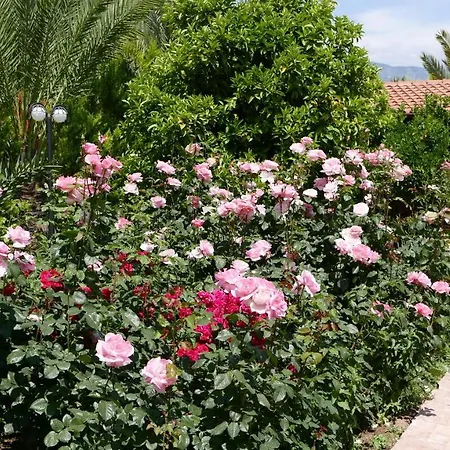 عايدة فندق