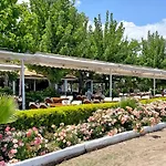 Aida Çıralı