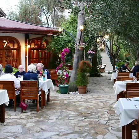 Aida Çıralı